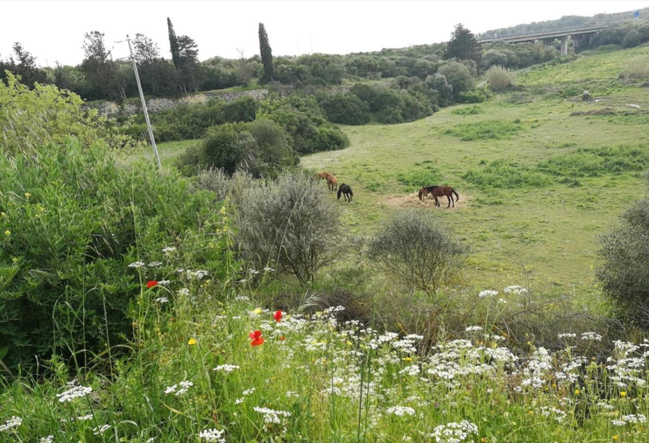 Bed & Breakfast Albero Della Musica *