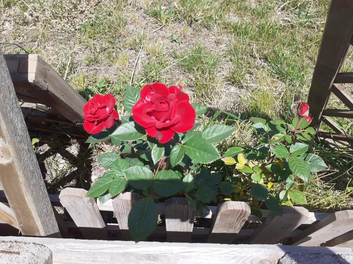 Albero Della Musica Bed & Breakfast Sassari